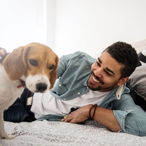 man smiles and pets his dog on a bed